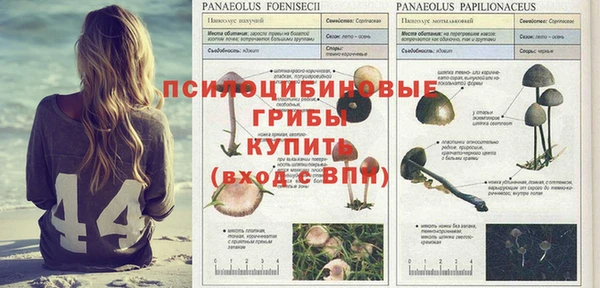 mdpv Абдулино